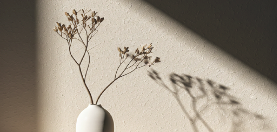 Botanical arrangement
